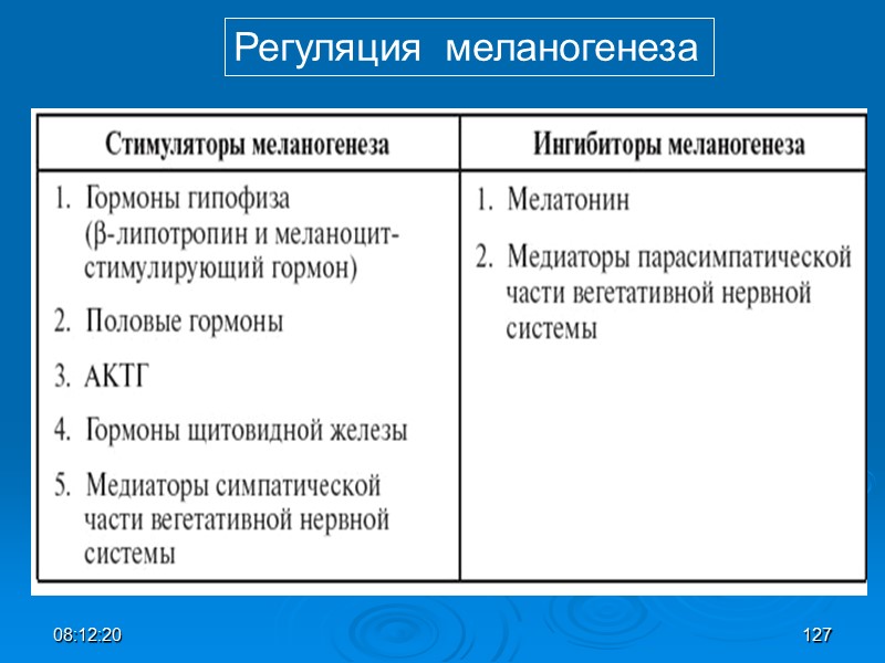 08:12:02 127 Регуляция  меланогенеза